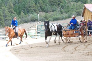 Parelli Horse and Soul Tour Stop- Denver CO